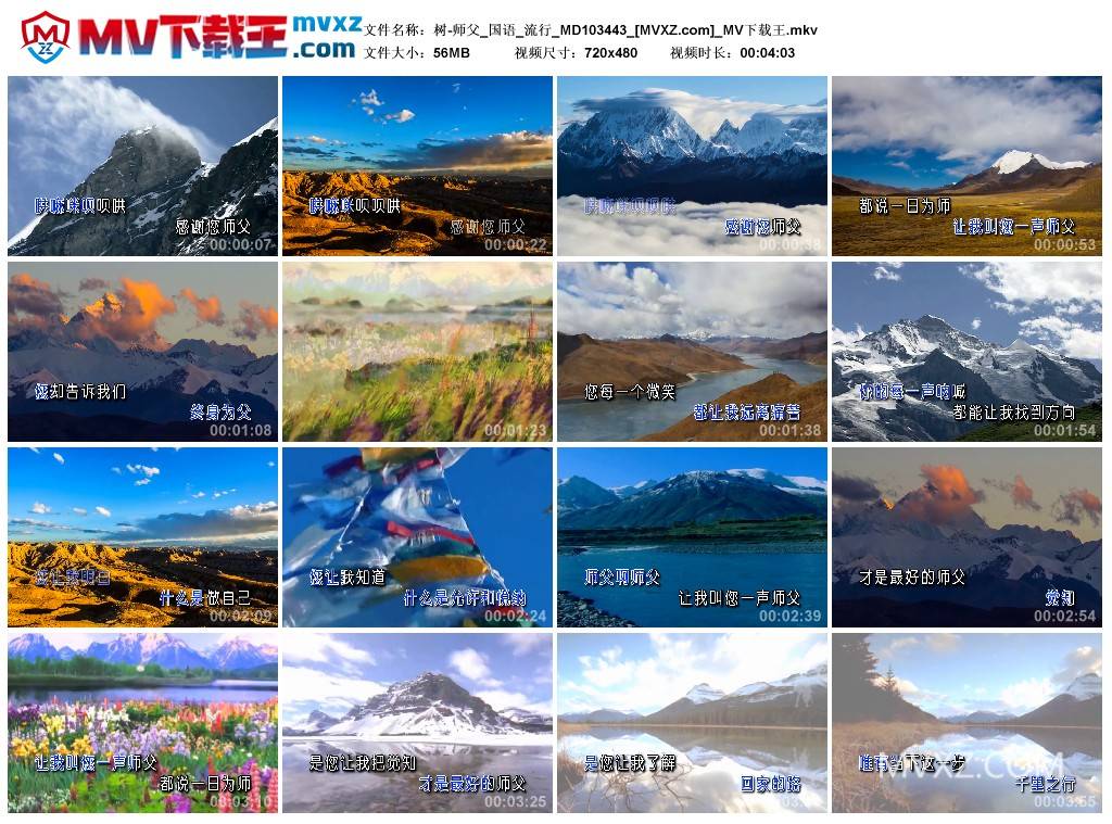 树-师父_国语_流行_MD103443